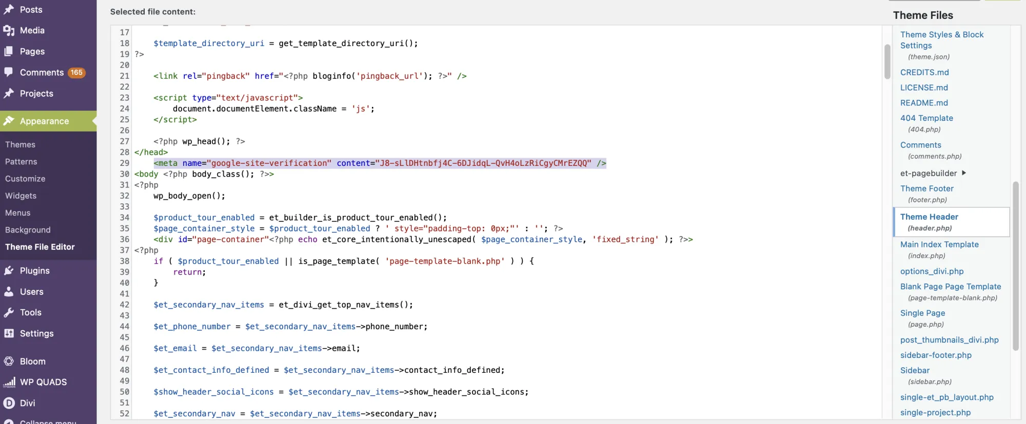 Masukkan kode verifikasi pada Header <head>