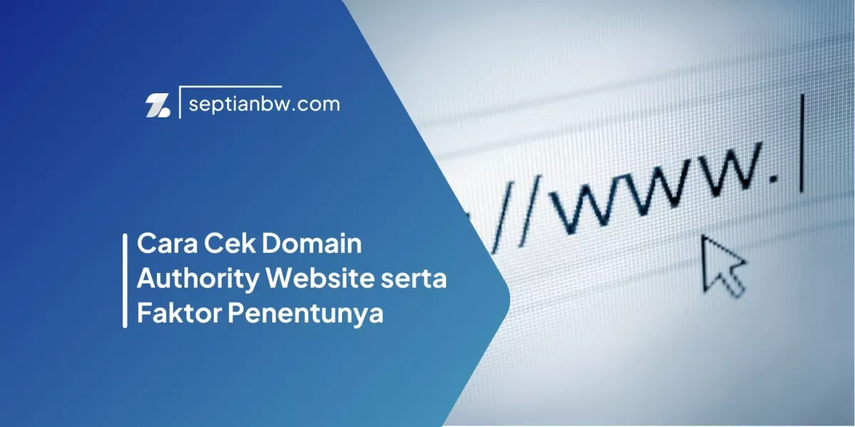 Cara Cek Domain Authority Website serta Faktor Penentunya