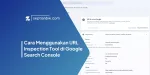 Cara Menggunakan URL Inspection Tool di Google Search Console
