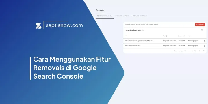 Cara Menggunakan Fitur Removals di Google Search Console